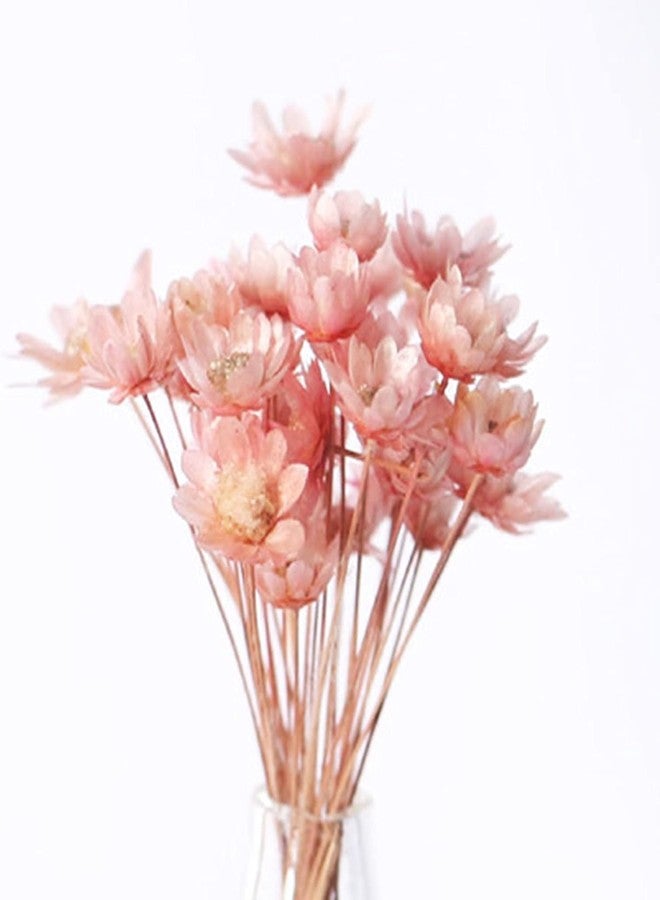 Qintreesify Pink Mini Flower Vase, 1/12 Scale Miniature Dollhouse Accessories Decor, Doll House Mini Flower Bowl Elegant Decoration for Mini Scene Excellent Quality - Image 5